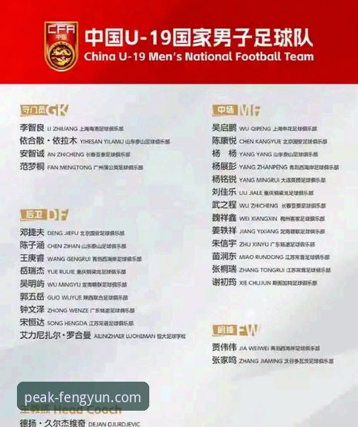 U19国足土伦杯开门红操作教程：如何在风云体育平台追踪赛事数据