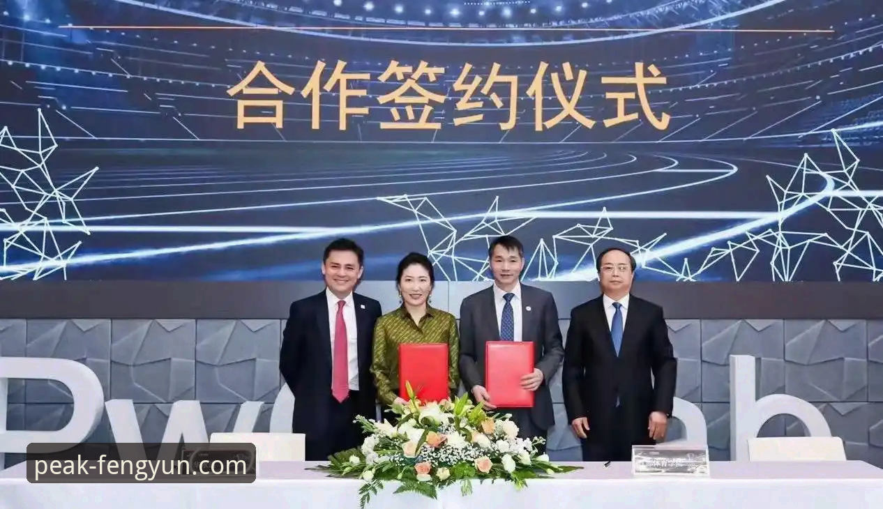 风云体育平台使用教程安全性与功能全面评测报告