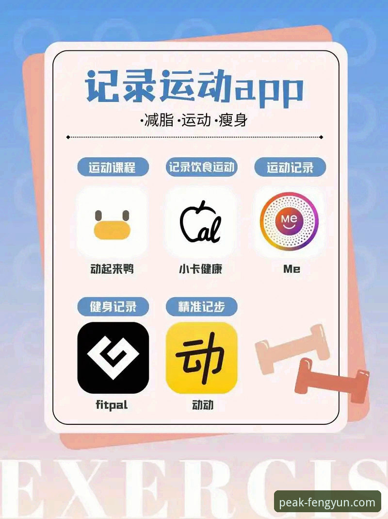 风云体育平台App最新版：从下载到精通的完整使用指南